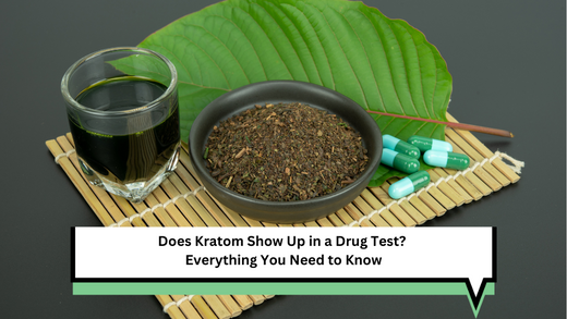 Does Kratom Show Up in a Drug Test? Everything You Need to Know