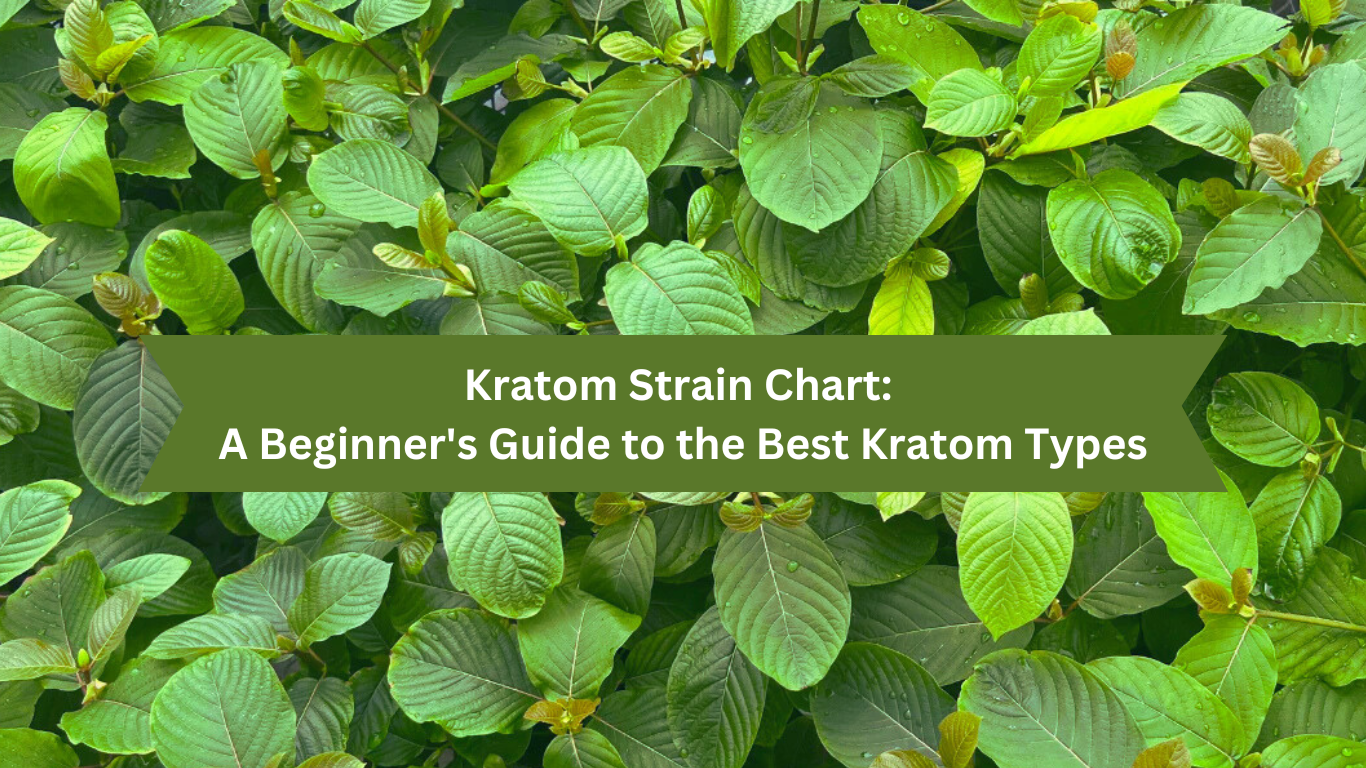 Kratom Strain Chart: A Beginner's Guide to the Best Kratom Types