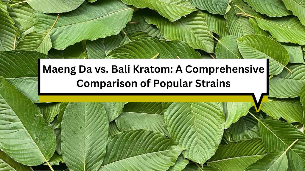 Maeng Da vs. Bali Kratom: A Comprehensive Comparison of Popular Strains