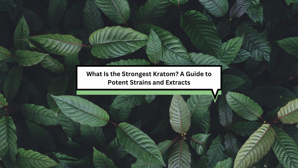 What Is the Strongest Kratom? A Guide to Potent Strains and Extracts