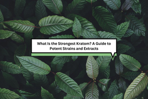 What Is the Strongest Kratom? A Guide to Potent Strains and Extracts